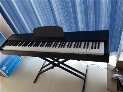 Maklumat Orang Dalam Tentang Bulatan Piano Digital Domestik Yang Anda Mungkin...